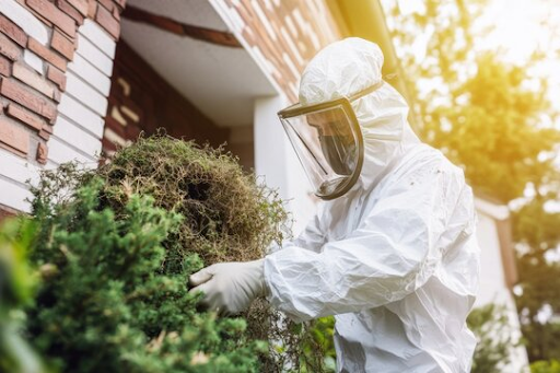 Wie Wespenbekämpfungsdienste Ihnen helfen können, Ihr Zuhause sicher zu halten Wespenbekämpfungsdienste